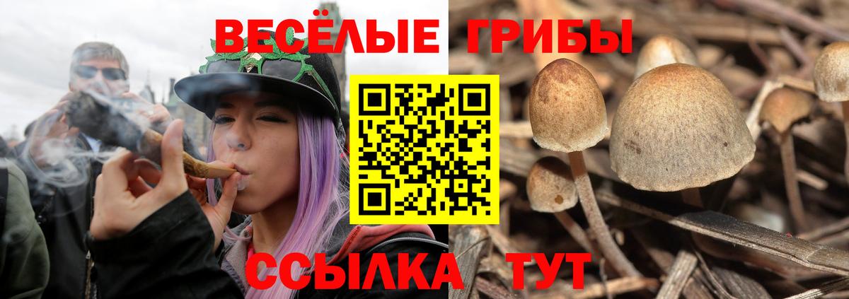 Псилоцибиновые грибы прущие грибы Благовещенск